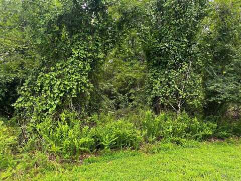 Lot 74 Cobalt Bay Drive, Shirley, AR 72153