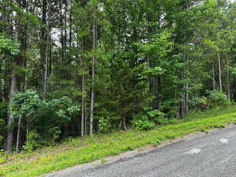 Lot 107 Cobalt Bay Drive, Shirley, AR 72153