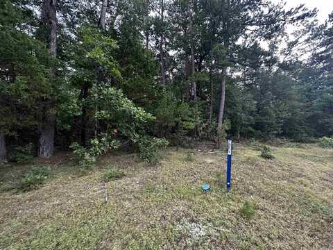 Lot 45 Cobalt Bay Drive, Shirley, AR 72153