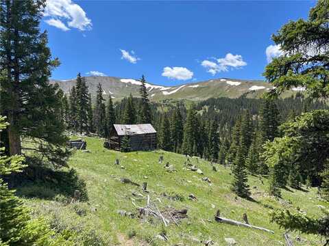 000 ROAD 398, Buena Vista, CO 81211