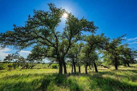 Lot 4 Old Harper Rd, Fredericksburg, TX 78624