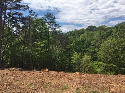 Lot 962 Spruce DR, Rogers, AR 72756