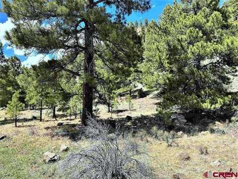 TBD State Hwy 149, South Fork, CO 81154