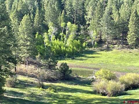 28444 W US Hwy 160, Pagosa Springs, CO 81147