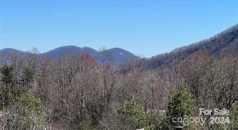 365 Feather Falls Trail S, Black Mountain, NC 28711