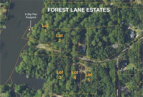 Forest Ln, Mobile, AL 36605