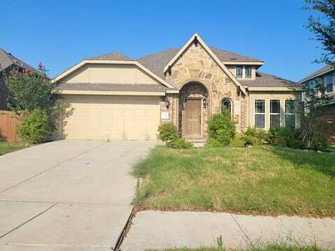 Lupine, FORNEY, TX 75126