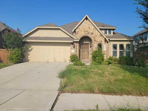 Lupine, FORNEY, TX 75126