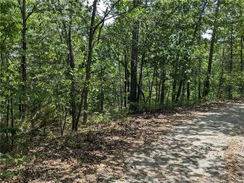 Lot 16 Cargill CIR, Bella Vista, AR 72715