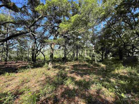 9545 North Bayou Road, Lillian, AL 36549