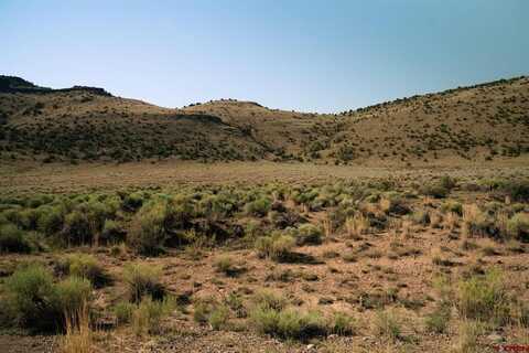 682 Pronghorn Trail, Del Norte, CO 81132