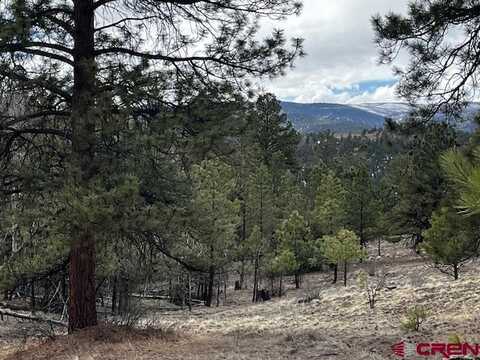 505 N Skyline Drive, South Fork, CO 81154