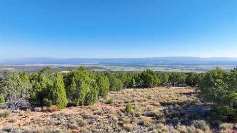 246 La Mesa Vista Drive, Norwood, CO 81423