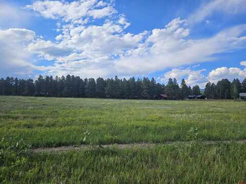 1338 Antelope Avenue, Pagosa Springs, CO 81147