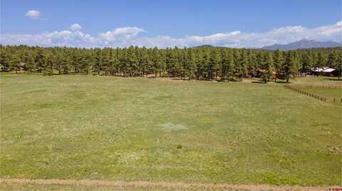 1338 Antelope Avenue, Pagosa Springs, CO 81147