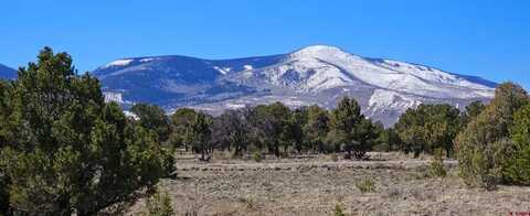 4402 Bear Creek Circle, South Fork, CO 81154
