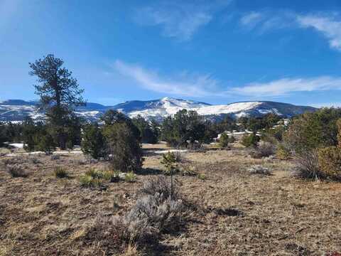 88 Silver Thread Circle, South Fork, CO 81154