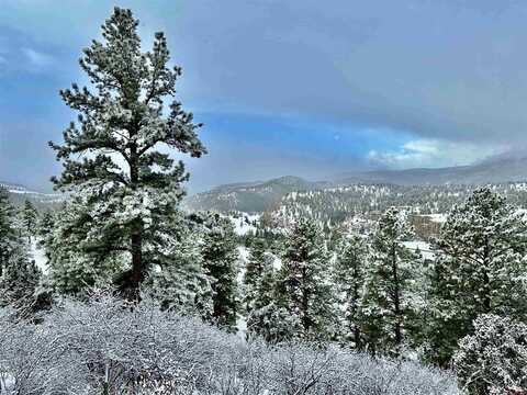 543 N Skyline Drive, South Fork, CO 81154