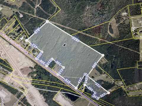 0 Cottageville Highway, Walterboro, SC 29488