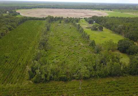 County Road 300, Mayo, FL 32066