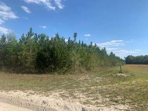 0 65th St, Bell, FL 32619