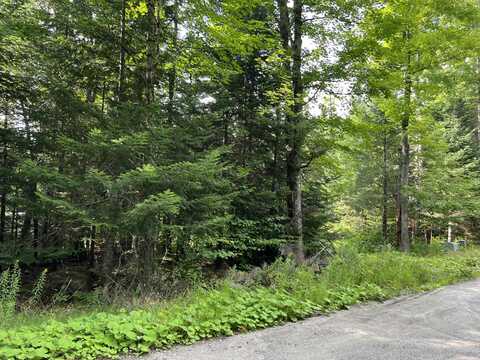 0 Grouse Creek Lot #2, Lake Placid, NY 12946