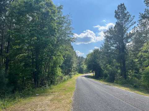 7 White Pond Road, Williston, SC 29853