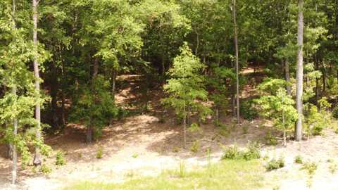 Lot 11 River Birch Road, Aiken, SC 29803