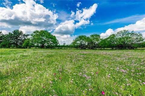 15.2 Acres N Old Springfield, North Zulch, TX 77872