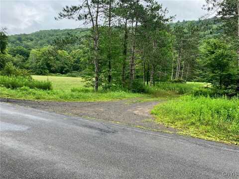 00 Roods Creek Road, Deposit, NY 13754