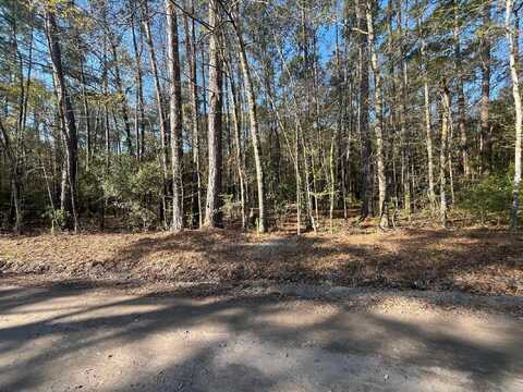 Lot 4b Old Military Rd, Adams Run, SC 29426