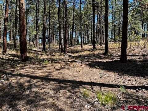 221 Badger Road, Bayfield, CO 81122