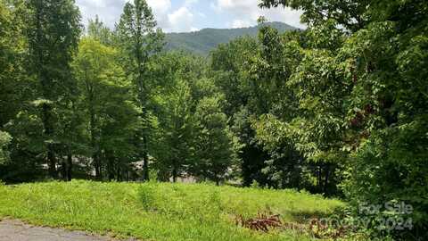 118 Fisher Court, Lake Lure, NC 28746