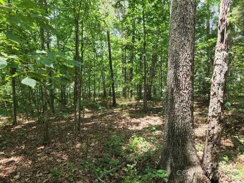 Pilgrim Forest Drive lot: 22-23, Wesley Chapel, NC 28110