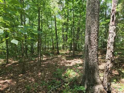 Lot 22-23 Pilgrim Forest Drive, Wesley Chapel, NC 28110