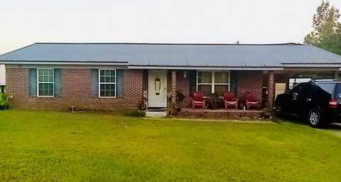 186 Beagle Blvd, Alma, GA 31510