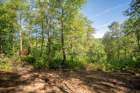 Lot #3 County Line Road, Venus, PA 16364