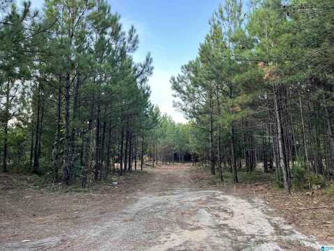 2210 SWEENEY HOLLOW ROAD, CLAY, AL 35235