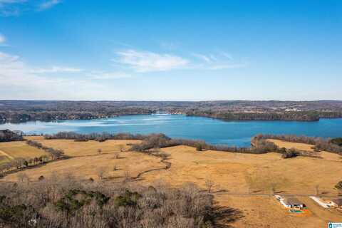 0 BROWNS VALLEY ROAD, GUNTERSVILLE, AL 35976