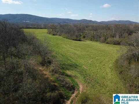 30 Acres HIGHWAY 9, ANNISTON, AL 36207