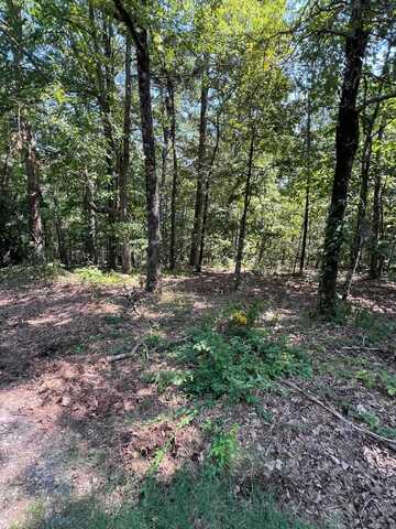 TBD Murcia Way, Hot Springs Village, AR 71909