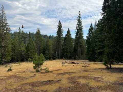 27488 Shake Ridge Road, Volcano, CA 95689