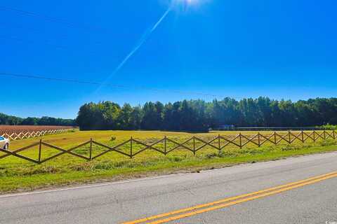 TBD Spring Branch Rd., Nichols, SC 29581