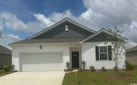 206 Hadley Springs Ave, Longs, SC 29568