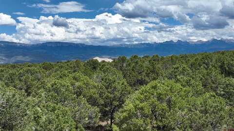 Lot 19 Ponderosa Drive, Ridgway, CO 81432