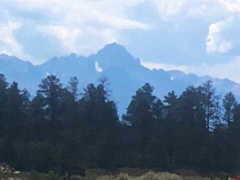 TBD Ponderosa Dr., Ridgway, CO 81432