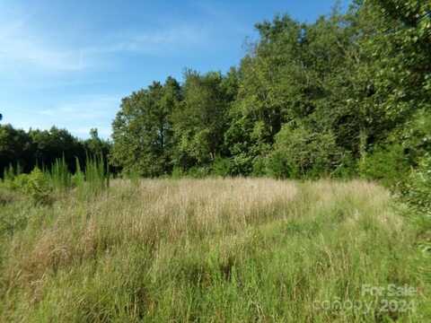 Lot 5 Painter Road, Mooresboro, NC 28114