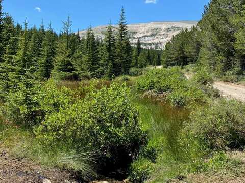 10393 Trapper Creek Road, Melrose, MT 59743