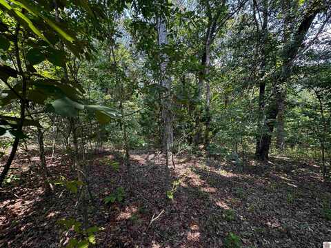 Lot 142 Trails End Ln, Murray, KY 42071