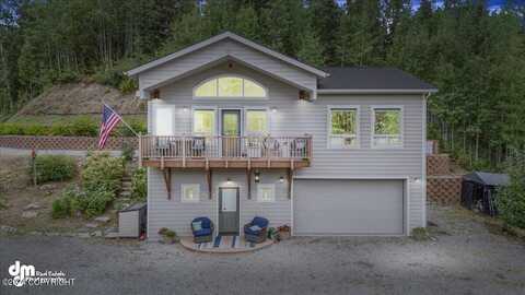 15737 N Ida Drive, Chickaloon, AK 99674